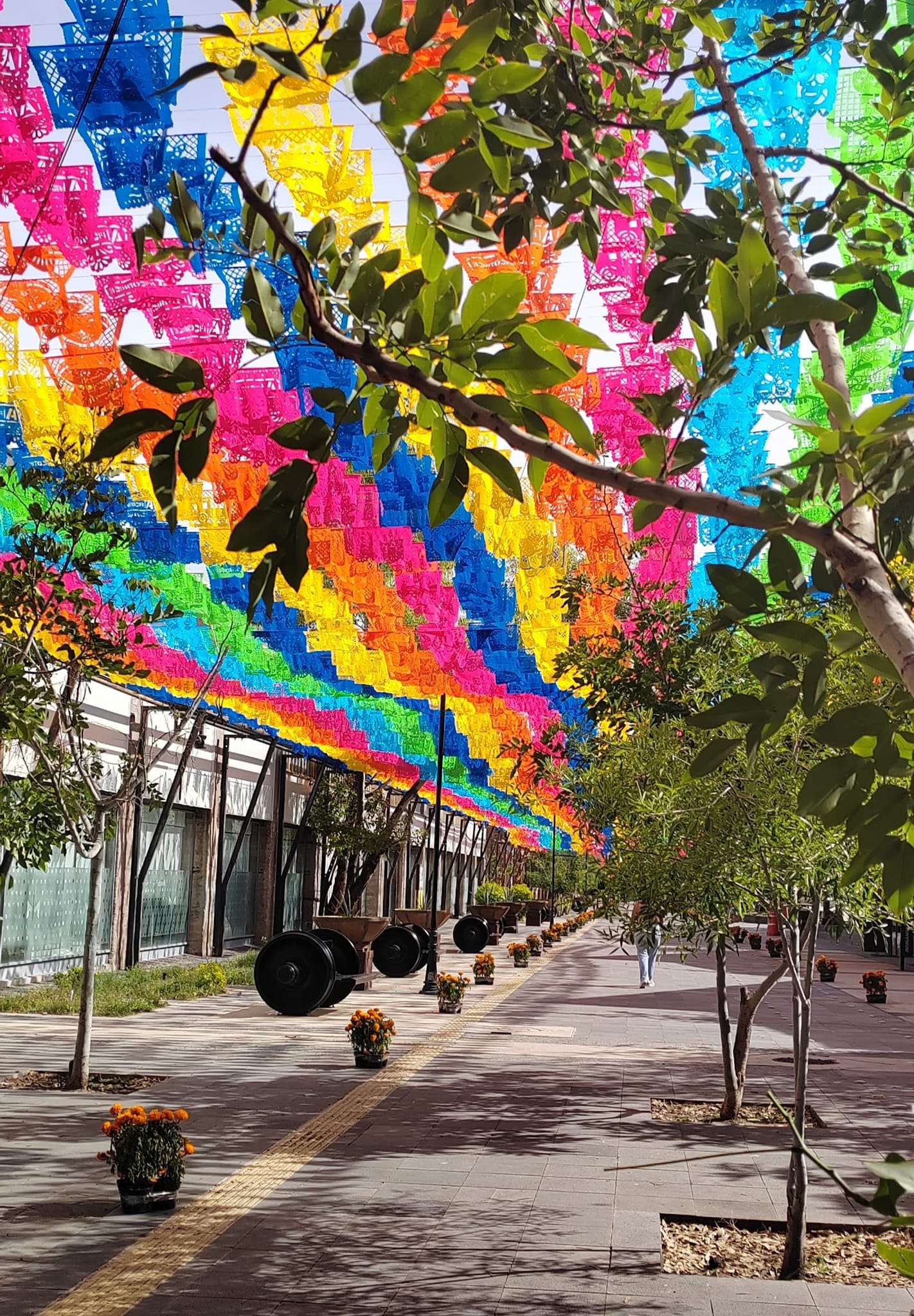 394570671 712641284232726 332582221172734729 n 1