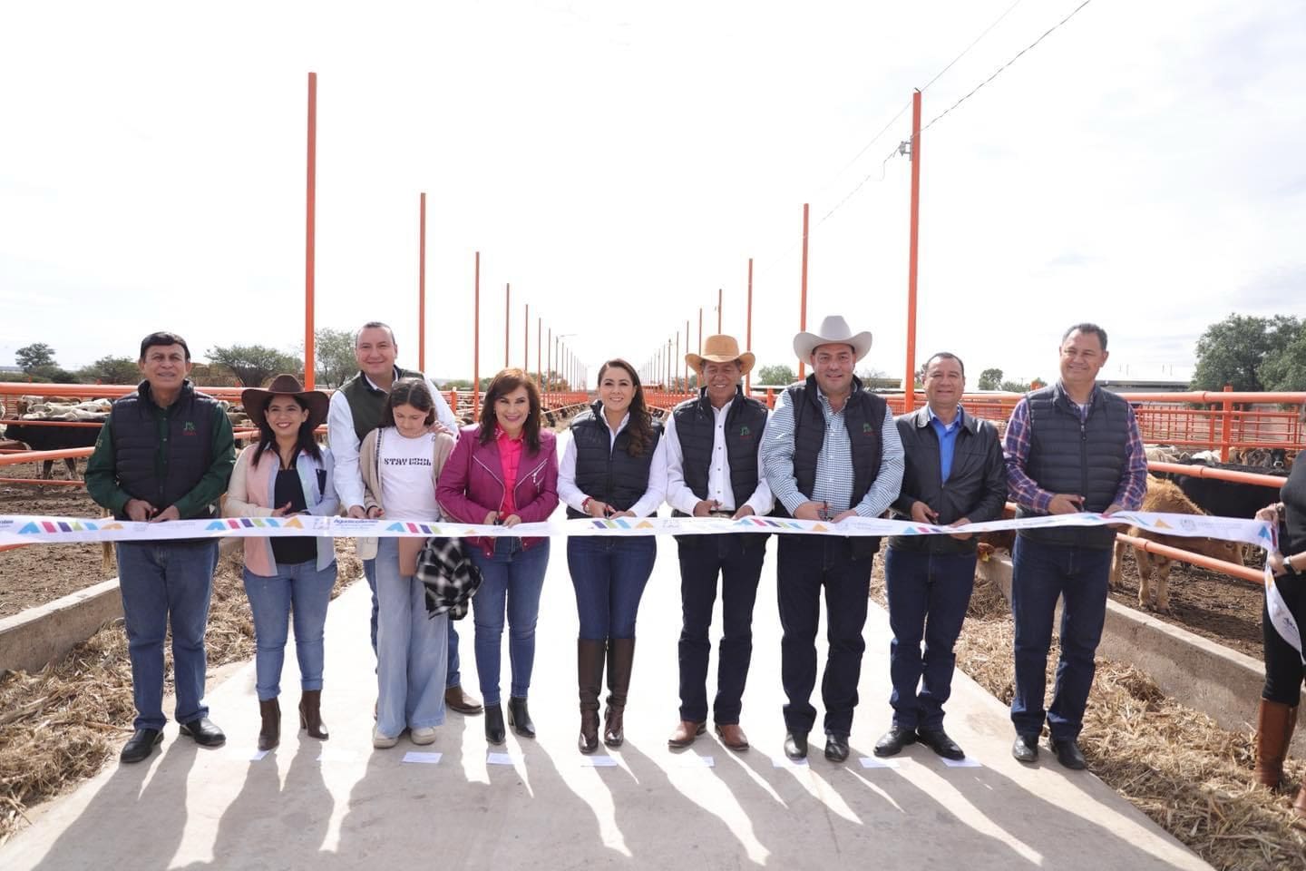 408008374 868065031994084 2996550406388967885 n