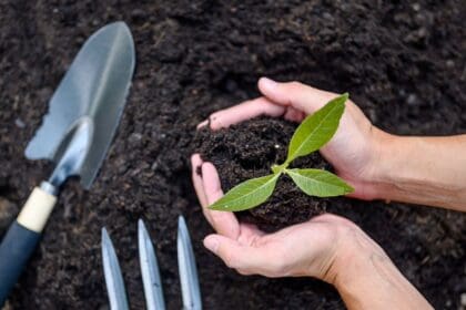 408114814 753184063511814 6616602384974755639 n