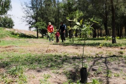 408127832 753184146845139 2155304944333728329 n