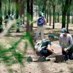 408159920 753184110178476 4739608582704794933 n