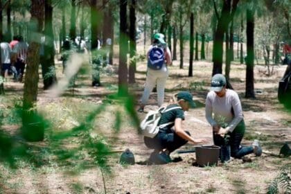 408159920 753184110178476 4739608582704794933 n