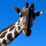 419399407 354164470690242 8392875714717010962 n