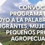 420877838 887566166702723 6353076481371653716 n e1706026124205