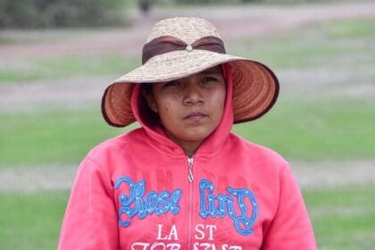 421273501 878391637620613 8820560918214178218 n