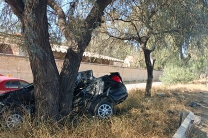 45 NORTE 7 e1674856944453