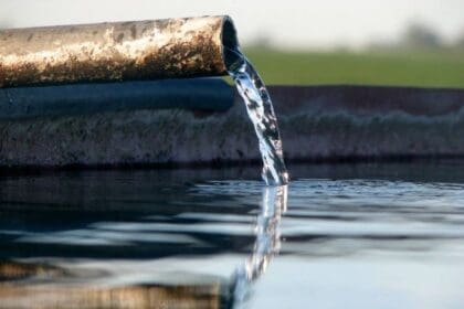 8a92b8d4f9429921caacf1839e223def