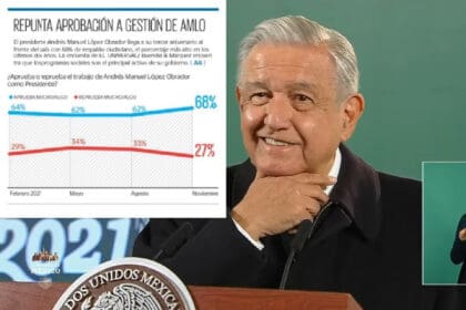 AMLO 6