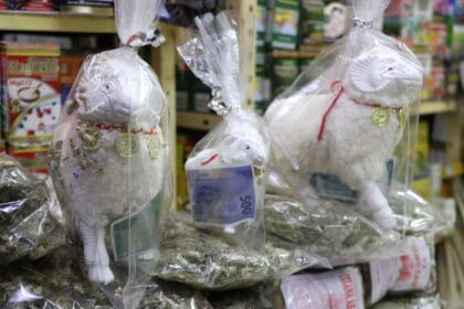 Amuletos para el Ano Nuevo 8 scaled 1