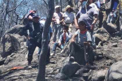 Brigadistas Oaxaca