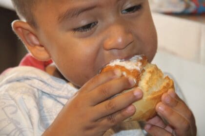 Carencias por acceso alimentacion 1 scaled 1