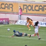 Centellas 3 1 scaled 1