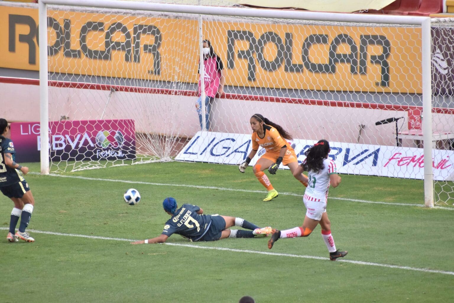 Centellas 3 1 scaled 1