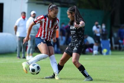 Centellas2 1 2 scaled 1