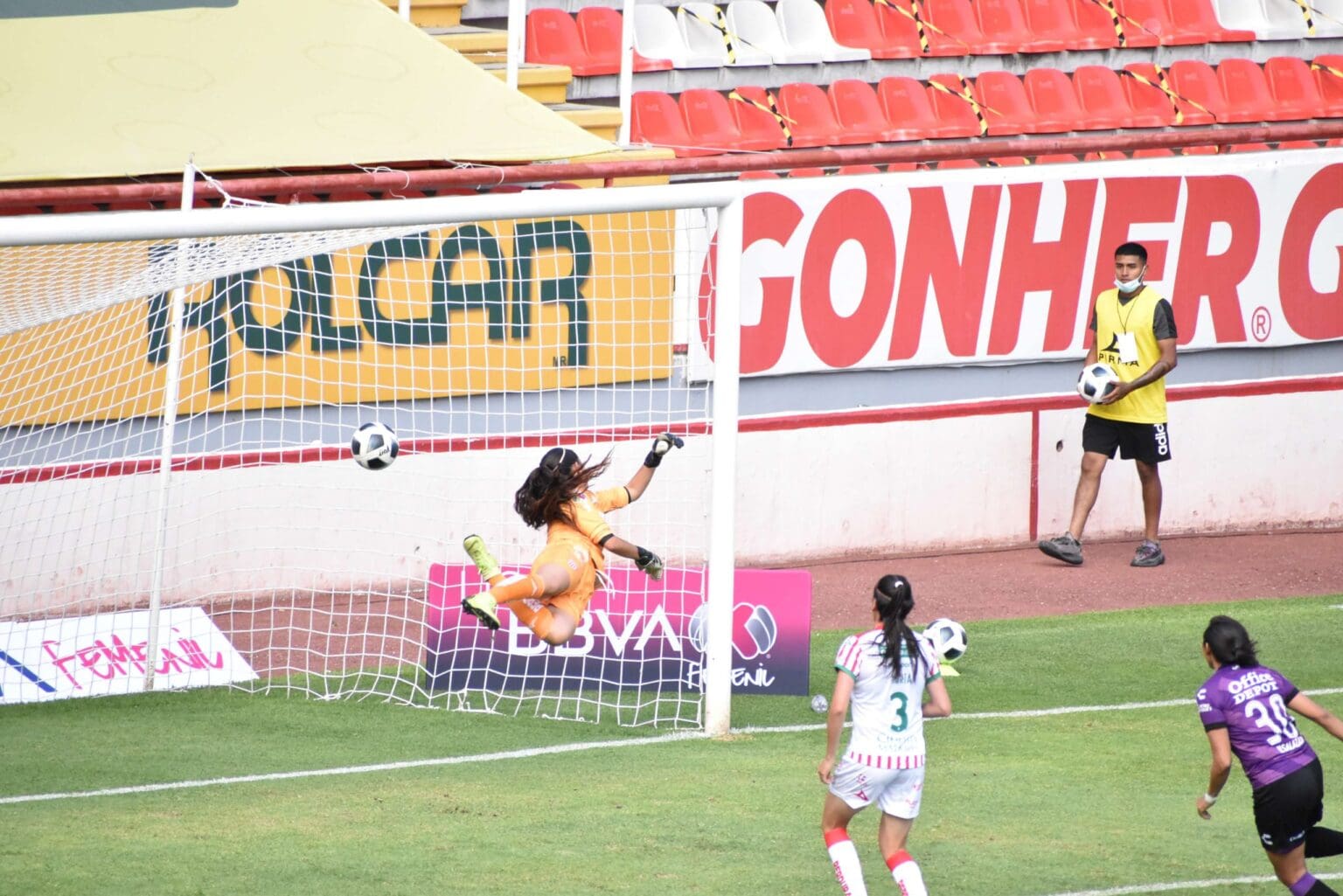 Centellas3 2 scaled 1