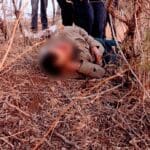 ELECTROCUTA 1 e1673644747983