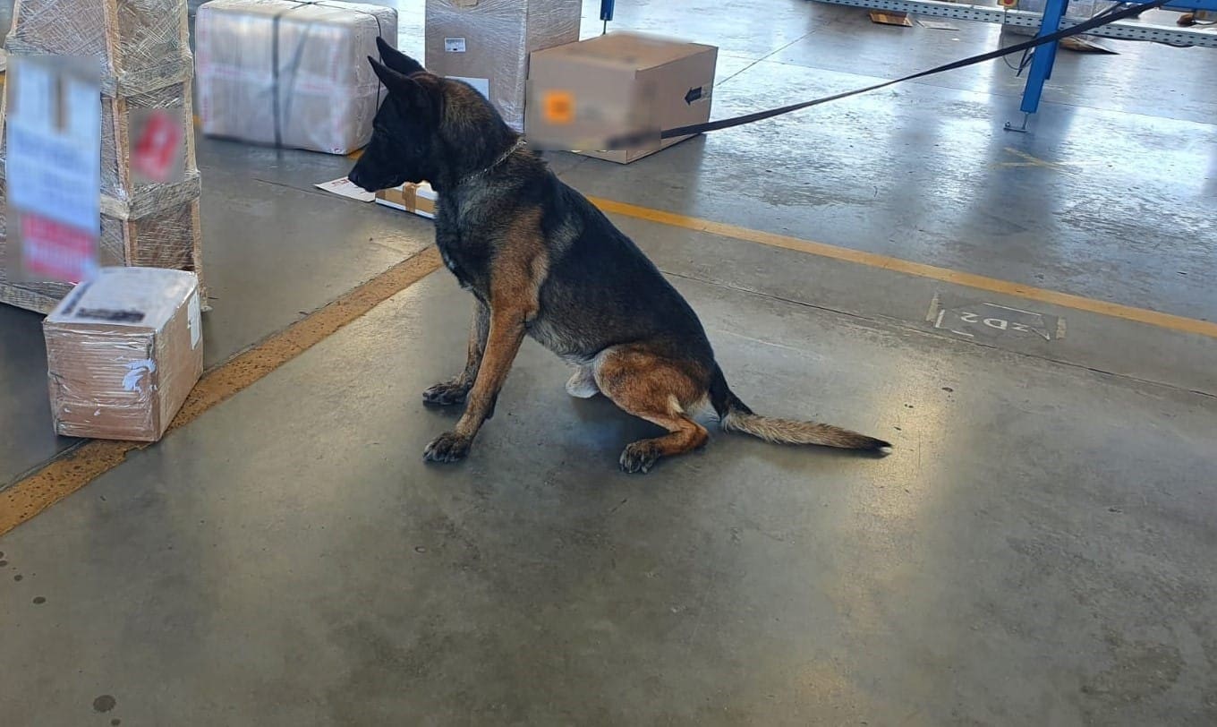 F24K3UYW2FFQFN5MYP2TEFX7RQ