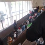 Filas en el Imss para medicamentos 1 e1705690932303