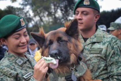 GDQDfzaWwAAv Sa 780x470 1 1