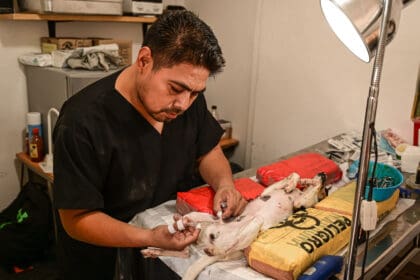 Imagen JPEG 4798 88F9 FC 2