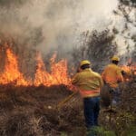 Incendios Oaxaca