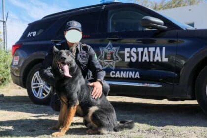 K9 MUERTO