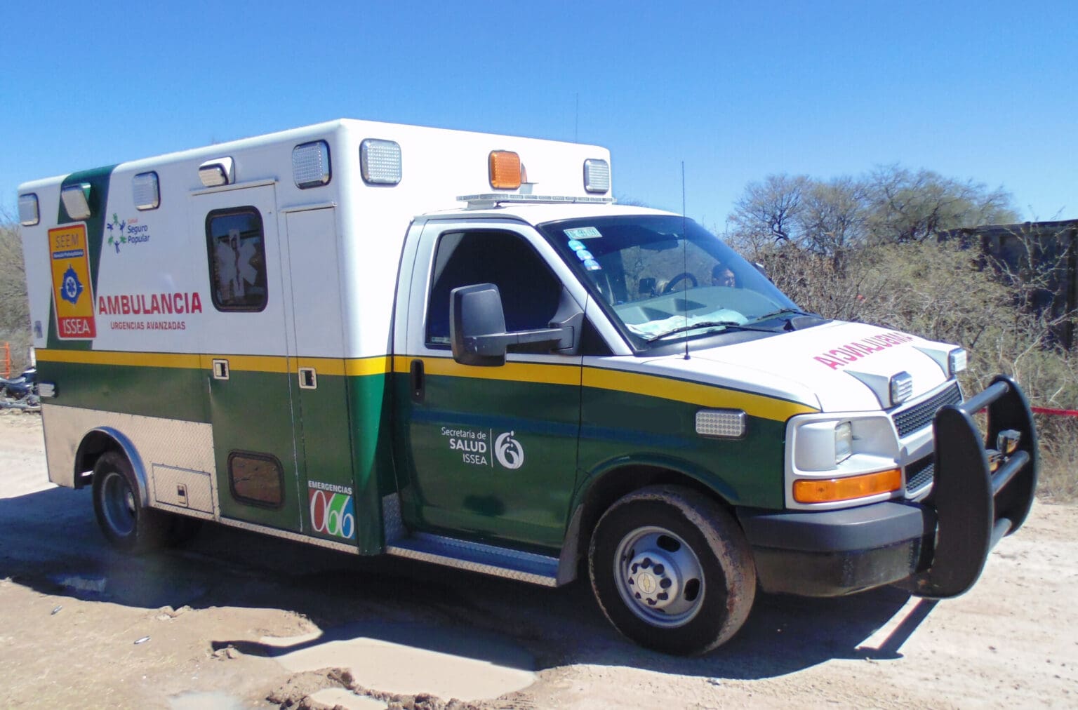 LEVANTADO 2 scaled 1