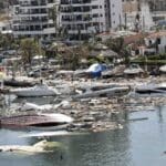 LLAMA ACAPULCO COLOR scaled 1