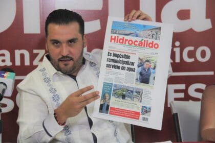 LLAMA ALDO COLOR scaled 1