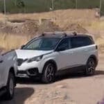 LLAMA ASALTO COLOR scaled e1689716989398