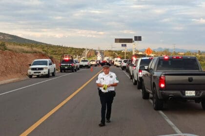 LLAMA DETENIDOS COLOR