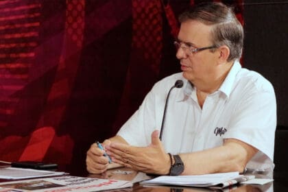 LLAMA EBRARD COLOR GRANDE