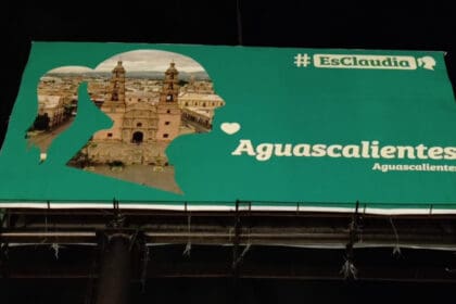 LLAMA ESPECTACULAR CLAUDIA COLOR