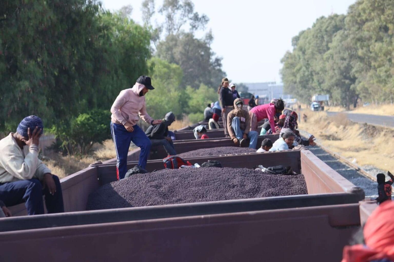 LLAMA MIGRANTES COLOR 1