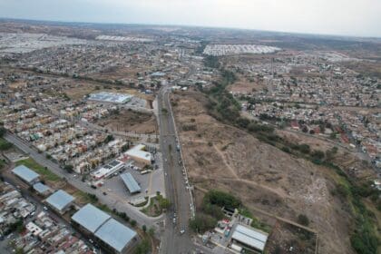 LLAMA TERE COLOR scaled 1