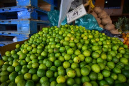 Limon