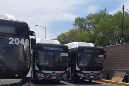 Linea Express 1 e1683224346686