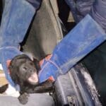 MONO 3 e1676498907508