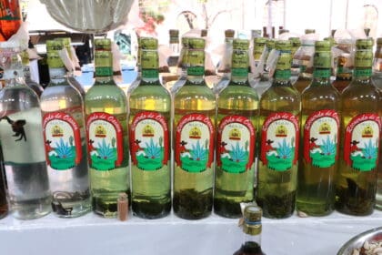 Mezcal con Canabis 2 scaled 1