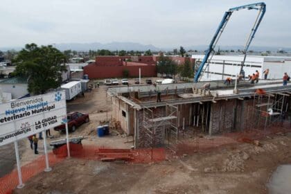 Municipio boletin 1 4 1