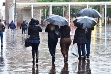 Municipio boletin 2 3