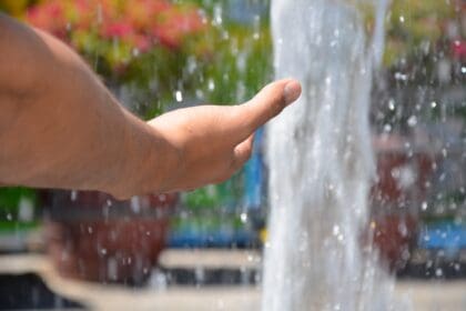 Municipio boletin 4 1 1