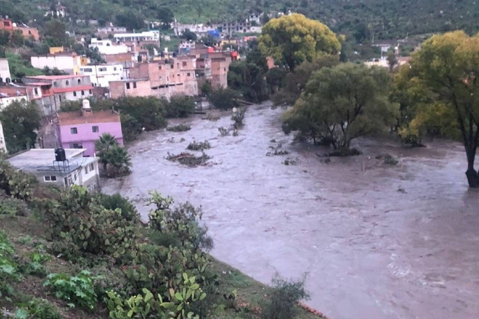 Nuevo proyecto 2021 09 17T122618.868