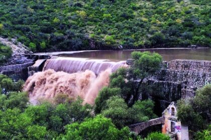 Nuevo proyecto 2021 09 18T095102.291