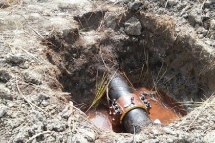 Nuevo proyecto 2021 09 30T100951.878