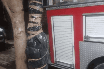 Nuevo proyecto 2021 10 18T115022.957 1