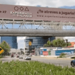 Nuevo proyecto 2021 10 19T131802.495 1