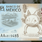 Nuevo proyecto 2021 10 27T130227.155 1