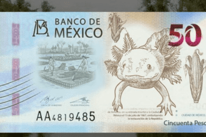 Nuevo proyecto 2021 10 27T130227.155 1