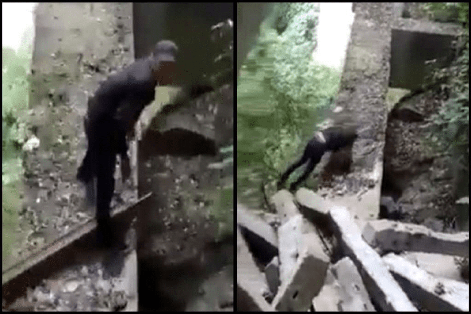 Nuevo proyecto 2021 11 16T163945.986